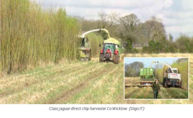 (2010) Short Rotation Coppice Willow Best Practice