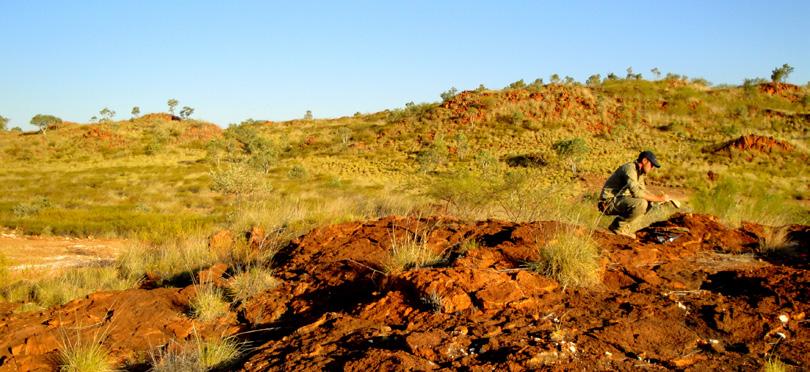 2 Tenure and Land Access Tenure The Project covers an area of 1,643 km 2, within Western Australia.