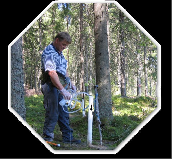 Groundwater monitoring in Hautala, Finland NO 3 - N µg/l 5 years
