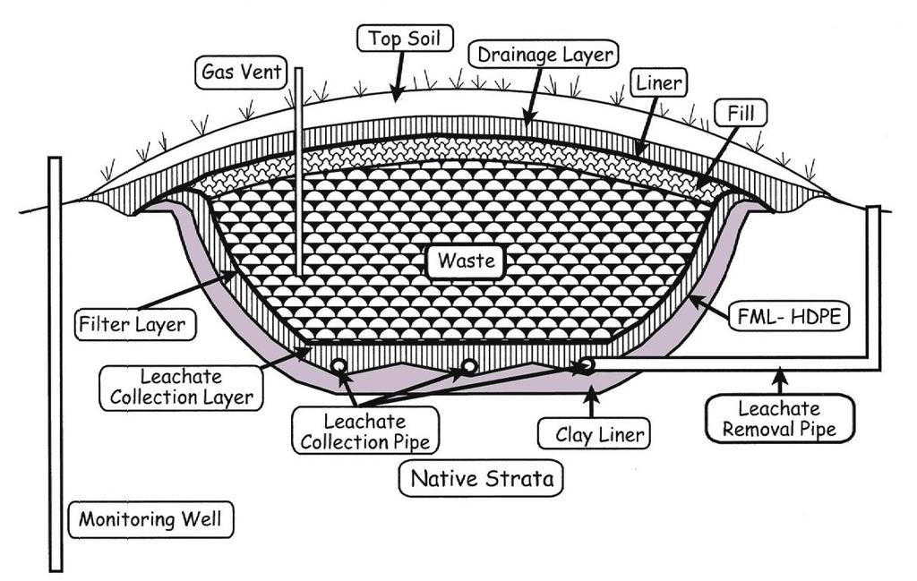 Cross-Section of
