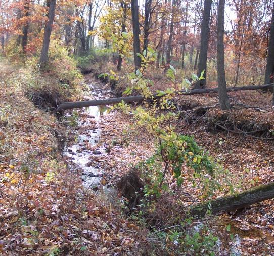 Hoffman Park Stream Restoration NJWSA In-stream