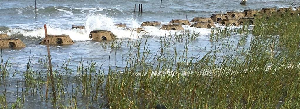 The creation of a 1,000-foot living shoreline started with the construction of an artificial reef, using pre-cast reef balls, at mean tide elevation (~ 75 ft.
