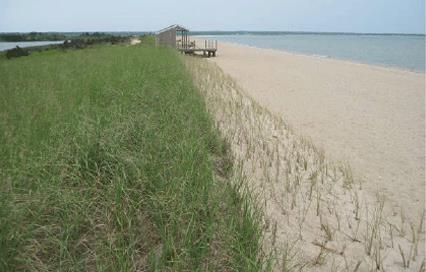 Duxbury Beach, Duxbury, MA Photo courtesy of Woods Hole Group PHOTOGRAPHS (including natural examples of living shoreline types) ES EE SR Energy State Existing Environmental Nearby Sensitive Low to