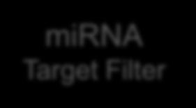 Target Filter Molecule Type