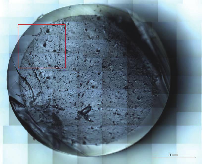 Figure 3. Video Image Sample A The complete diameter of the co-extrudate is 3,6mm with the layer thickness varying between 280-300 µm.