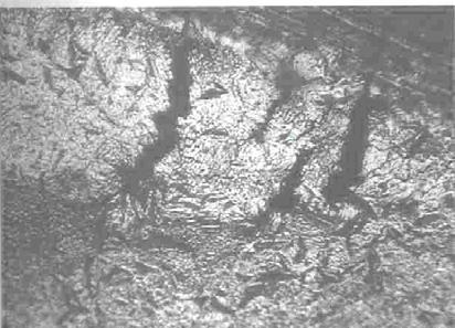 Figure 3 & 4 Varestraint test showing crack at 2% strain in fusion zone After removal from the test jig, the specimen surfaces were examined under a microscope and the length of individual cracks