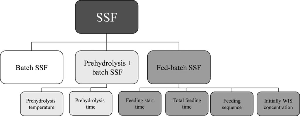 A. Gladis et al. Influence of Different SSF Conditions Figure 1. Overview of the modes of SSF and parameters studied. SSF, simultaneous saccharification and fermentation. Table 1.