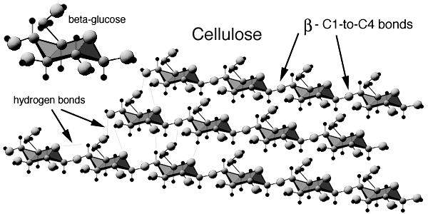 39 Figure 10. Schematics of cellulose molecules. (http://www.generalbiomass.com/fig_cellulose.