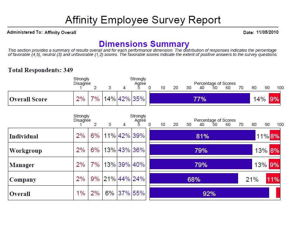 YOUR REPORT Dimension Summary The Dimension Summary page shows the aggregate scores of everyone within your work group.
