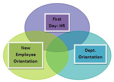 Orienting New Employees Beginning a new job can be an overwhelming and challenging experience.