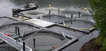 Actions Moving Forward The National Aquaculture Strategic Action Plan Initiative has identified a number of priority activities to address issues related to maintaining ecosystem health.