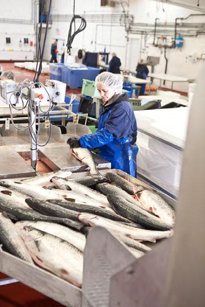 Aquaculture in World Markets Canadian aquaculture products are sold to more than 60 countries around the world, with the majority of exports going to the United States.