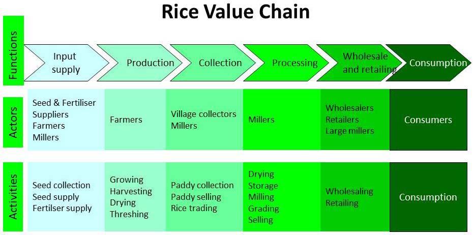 responsibilities are concentrated along the supply chain from provision of inputs through production to processing and trade.