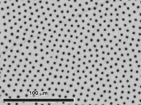 The high tanspaency is the esult of a good alignment of the fibes along the solidification diection; (b) SEM micogaph of longitudinal cut of KCl-LiF sample, patially cooded by ambient wate vapo; (c)