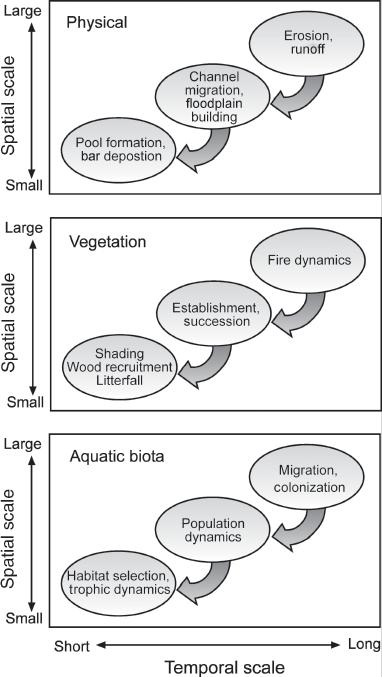 physical and biological adjustments, enabling riverine ecosystems to evolve and continue to function in response to shifting system drivers (e.g., climate change).