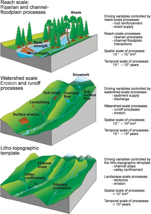 Figure 2. Illustration of the hierarchy of processes that control dynamics of habitat features and species assemblages.