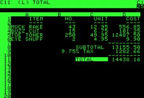 Spreadsheet Example n VisiCalc (1979) q First Spreadsheet q For Apple II computer n Lotus 1-2-3