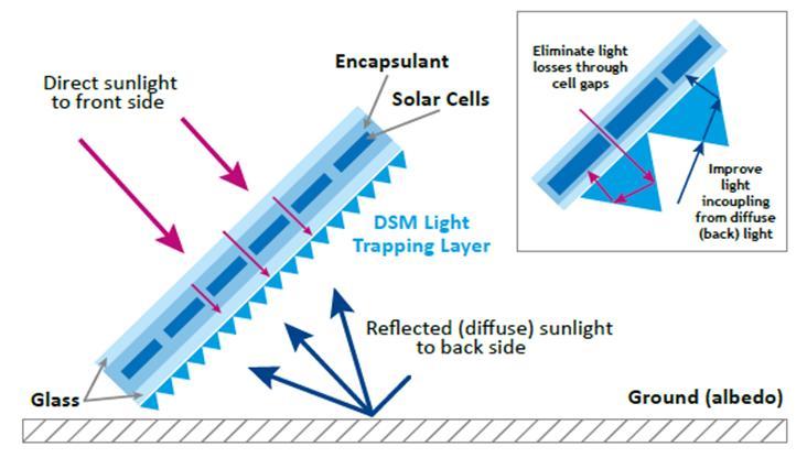 5 DSM Light Trapping Film ( LTF ) and ARC for Bifacial Modules Development path Screening STC test with 4 cells bifacial