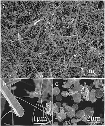 Tin Oxide Nanowires, Nanoribbons, and Nanotubes J. Phys. Chem. B, Vol. 106, No.