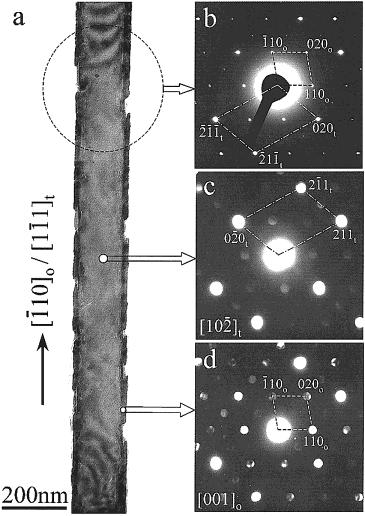 Tin Oxide Nanowires, Nanoribbons, and Nanotubes J. Phys. Chem. B, Vol. 106, No. 6, 2002 1277 Figure 6. (a) HRTEM image of the edge area of the sandwiched nanoribbon shown in Figure 5(a).