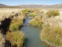 Little Snake River Conservation District - Improve Muddy Creek s water quality - Reduce erosion and