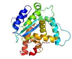 All types of molecules from big to small Intact proteins