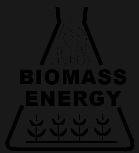 BIOMASS ENERGY IN INDIA CONTENTS Potential, Capacity, Market overview