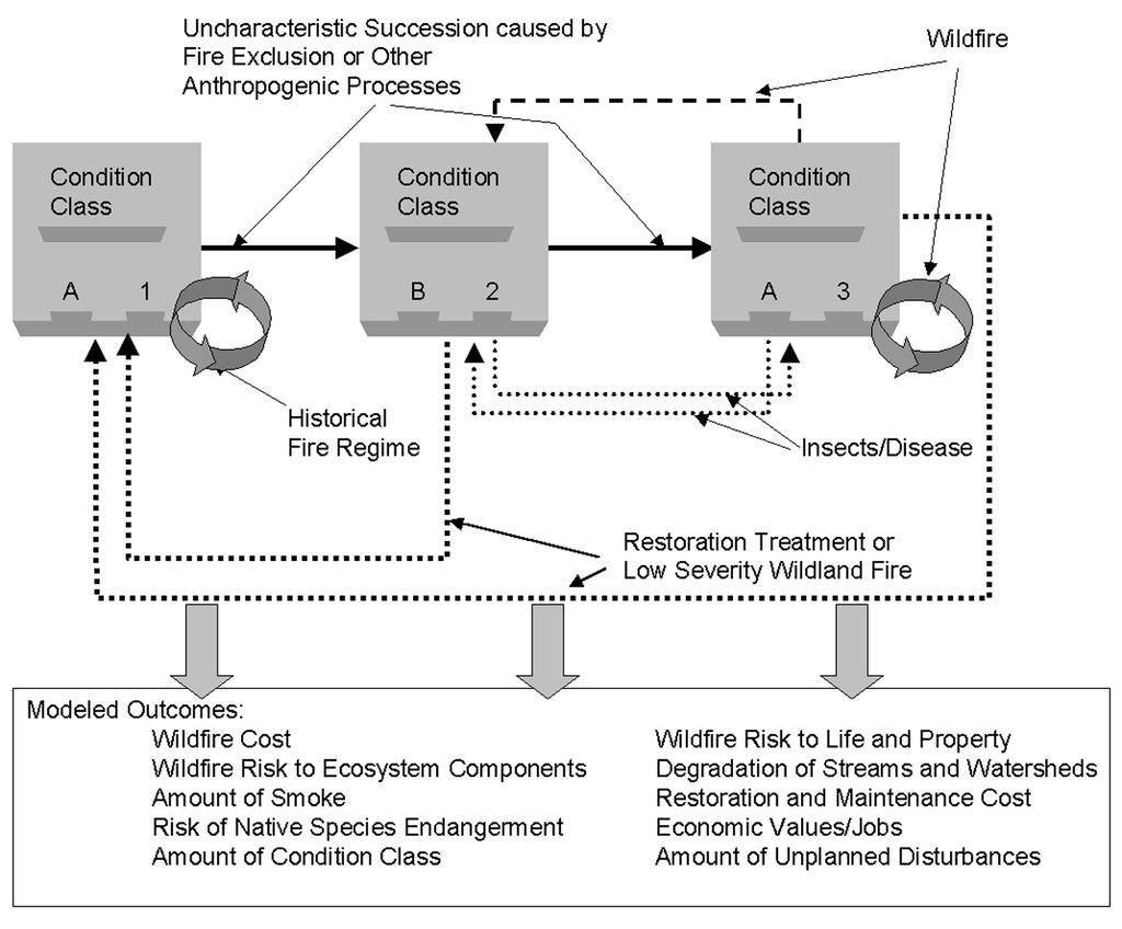 Multi-scale land and fire planning 393 Fig. 2. A simplified diagram of the example landscape dynamics model for National Forests and Grasslands of the lower 48 States.