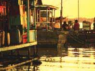 Community Fishery in the Tonle Sap: Is the Fishing Lot