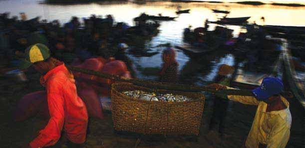 Chapter 4 How Far Does the Net Spread? A Literature Review of Tonle Sap Fish Trade, and its Role in Poverty Alleviation Pen Raingsey 1 and Matthew Chadwick 2 Abstract 77 1. Introduction 78 2.