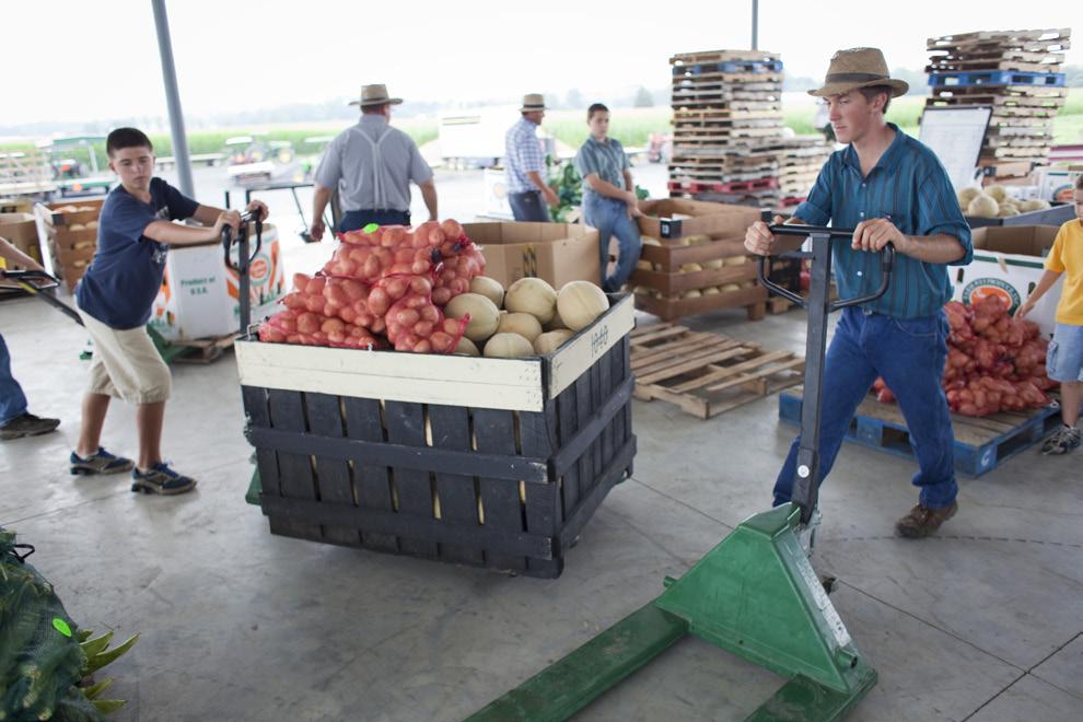 Buying from farmers at auctions, farmers markets Hospitals should follow the same steps when buying products from farmers at farmers markets and auction as they would when reaching out to specific