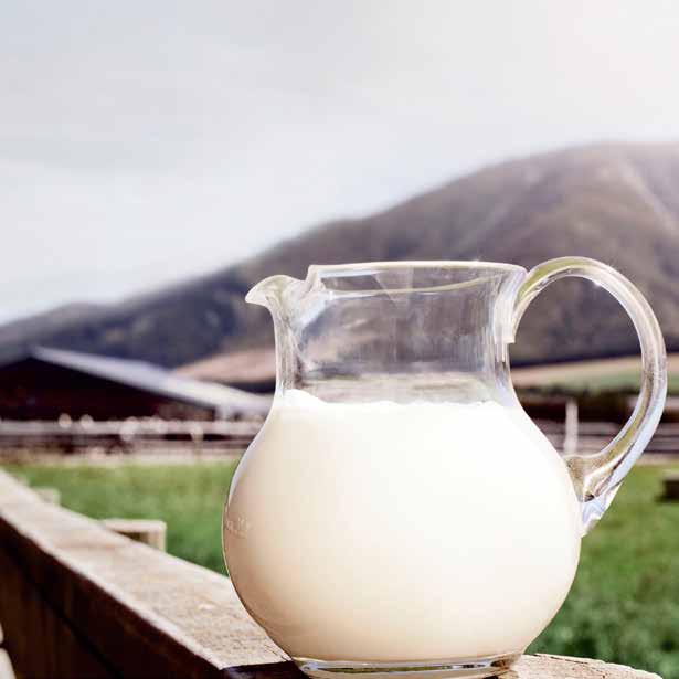 FOODSTUFFS SOUTH ISLAND CONTRACT - Exclusive supply of private label fresh milk and cream (Value and Pams) from early 2019 - Distributed in