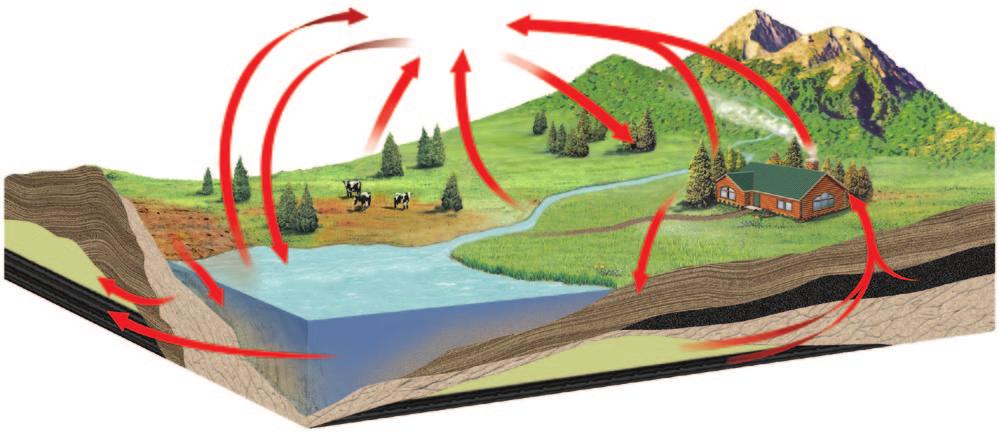 Section 2 Objectives Describe the short-term and long-term process of the carbon cycle. Identify one way that humans are affecting the carbon cycle. List the three stages of the nitrogen cycle.