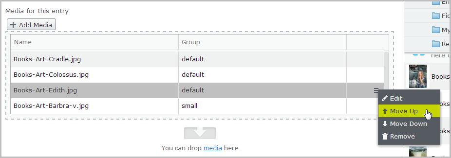 On the sample site, the item tagged with the default group at the top of the list is used for the main
