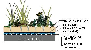20 Green Roofs Green roofs are vegetated systems placed on roof surfaces that capture and temporarily store rainwater in a growing medium.