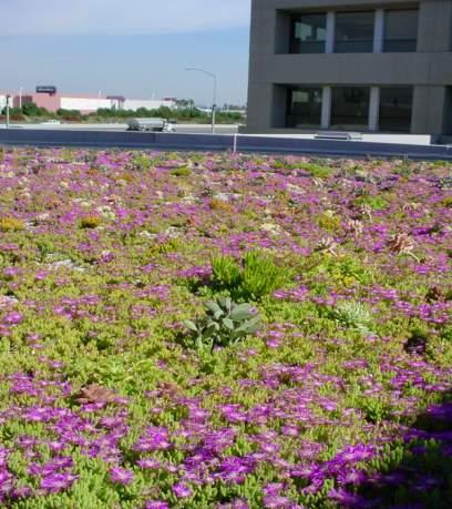 Additional Benefits of Green Infrastructure 15 Reduces heat island effect Improves air quality Provides wildlife habitat and recreational space Improves