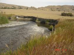 native riparian woody vegetation, offstream water being provided through NWQI and 319 funds Three water diversion changes resulting in instream water savings.