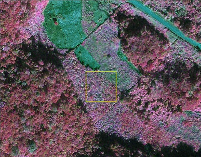 Landsat mosaic 1990