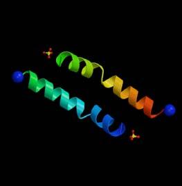 3D Structure Prediction Fortunately, many proteins with apparently dissimilar sequences have similar folds.