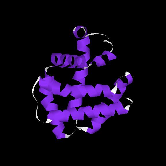 Protein Structure is Highly Conserved
