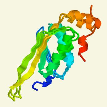 A protein with known structure (a template). 2.