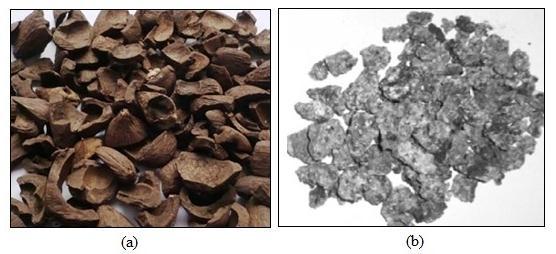 2.3 Coarse Aggregate Ductility performance of high strength OPS and POC lightweight concrete Two types of coarse aggregates were used in the concrete mix for this study, which were collected from the