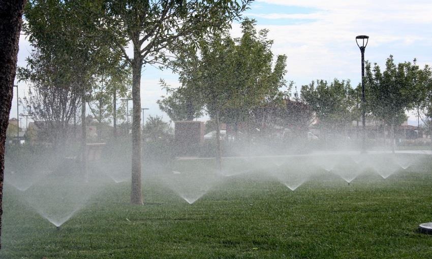 WaterSmart Landscape Rebate increased to $2