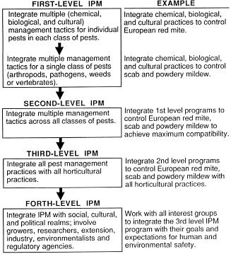Prokopy's Four Phases of IPM Single Pest Focus All Pest focus Systems focus Global focus Prokopy, R. 1994.
