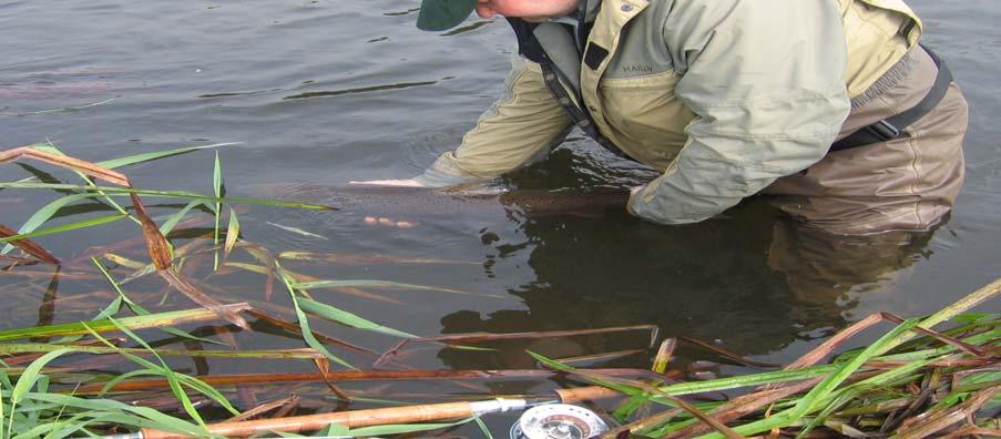 Snap-net Fishing on the Suir