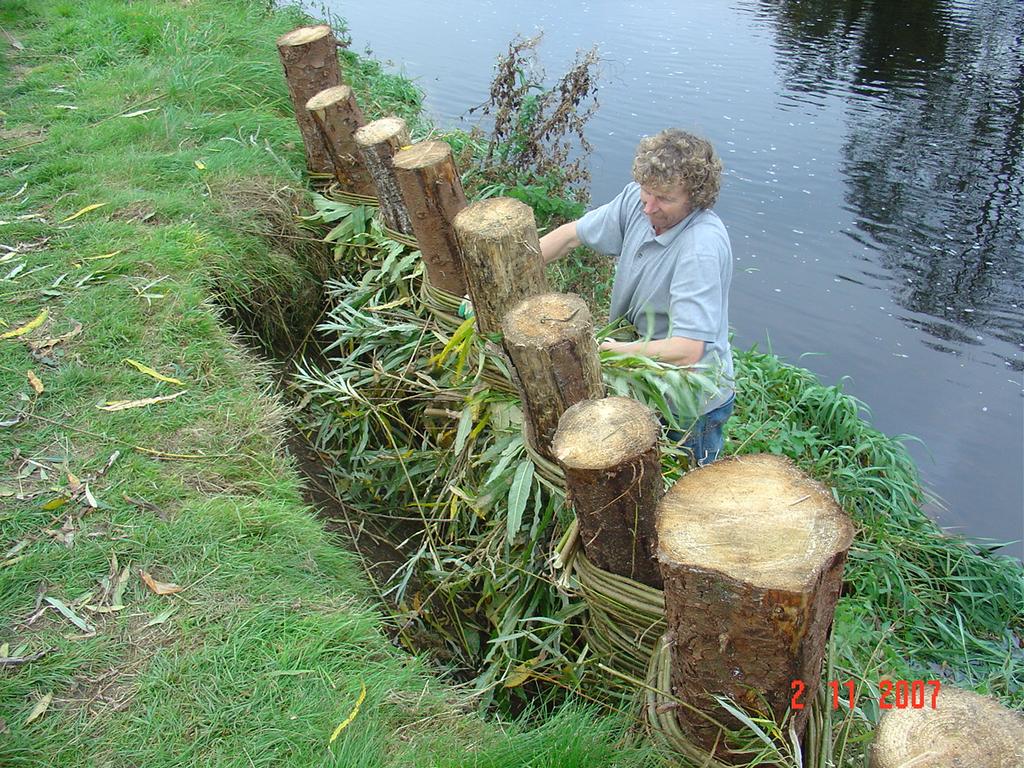 Repairing bankside erosion using natural willow wattling. This work was undertaken using Leader funding administered by BNS rural development on the River Nore.