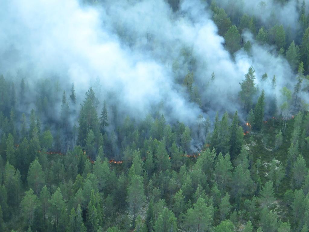 Natural and anthropogenic fire regimes in boreal landscapes of Northwest Russia A. Gromtsev, N.