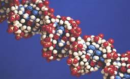 Propylene DuPont Biological Process C 6 H 12 6 Glucose Catalyst HCH 2 CH 2 CH 2 H