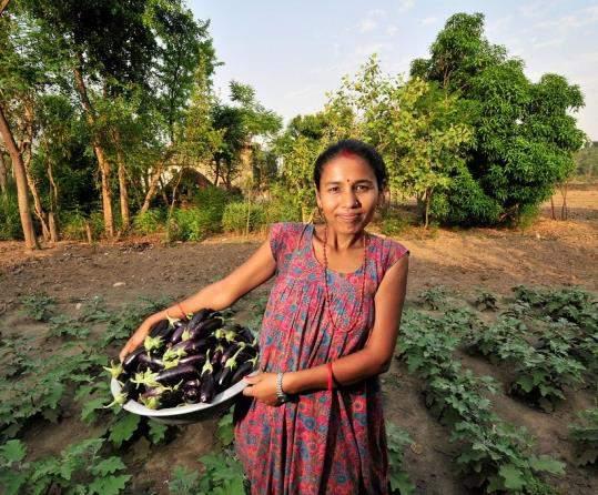 Food System Sustainability Creating strong and resilient food systems, that take into account the special needs of women, is the most