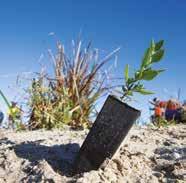 Revegetation provides a range of environmental services Revegetation helps to protect water catchments in South Australia SA Water is owned by the South Australian Government and delivers safe and